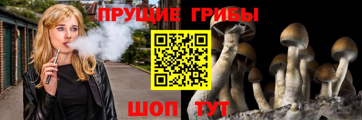 купить наркотик  Псилоцибиновые грибы Psilocybine cubensis  Протвино  Вход с VPN  Галлюциногенные грибы прущие грибы 