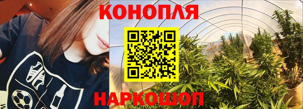 Каннабис тримм Протвино